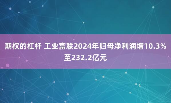 期权的杠杆 工业富联2024年归母净利润增10.3%至232.2亿元