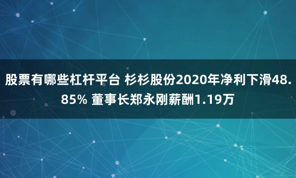 股票有哪些杠杆平台 杉杉股份2020年净利下滑48.85% 董事长郑永刚薪酬1.19万