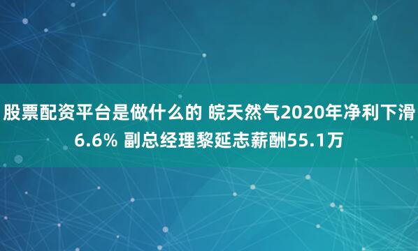 股票配资平台是做什么的 皖天然气2020年净利下滑6.6% 副总经理黎延志薪酬55.1万