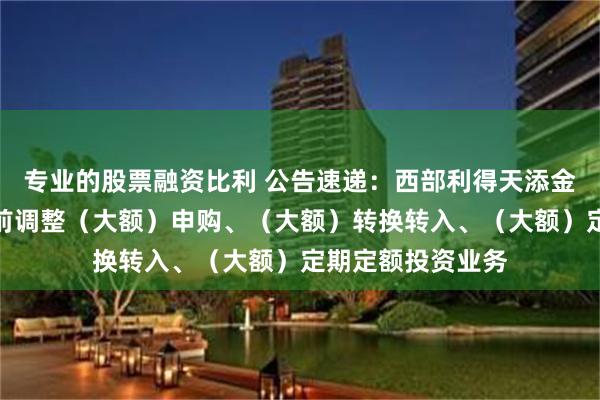 专业的股票融资比利 公告速递：西部利得天添金货币基金端午节前调整（大额）申购、（大额）转换转入、（大额）定期定额投资业务