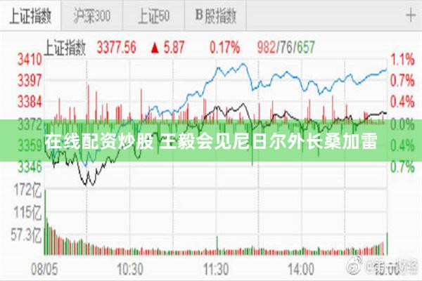 在线配资炒股 王毅会见尼日尔外长桑加雷