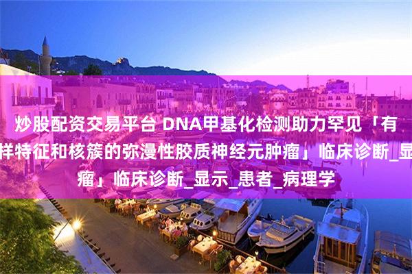 炒股配资交易平台 DNA甲基化检测助力罕见「有少突胶质细胞瘤样特征和核簇的弥漫性胶质神经元肿瘤」临床诊断_显示_患者_病理学